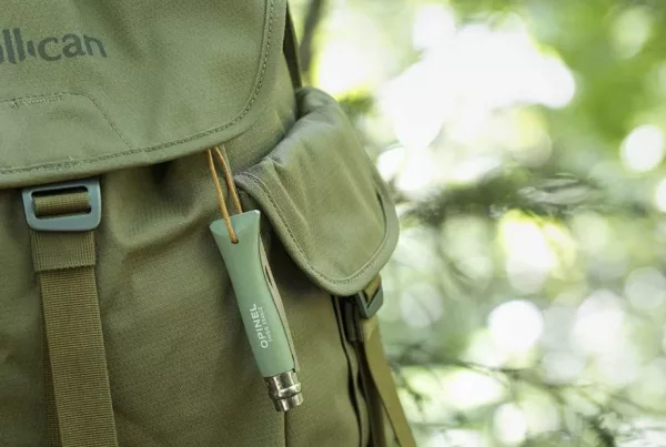 Opinel : N°06 Baroudeur Sauge